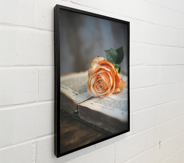 Peach Rose On Book