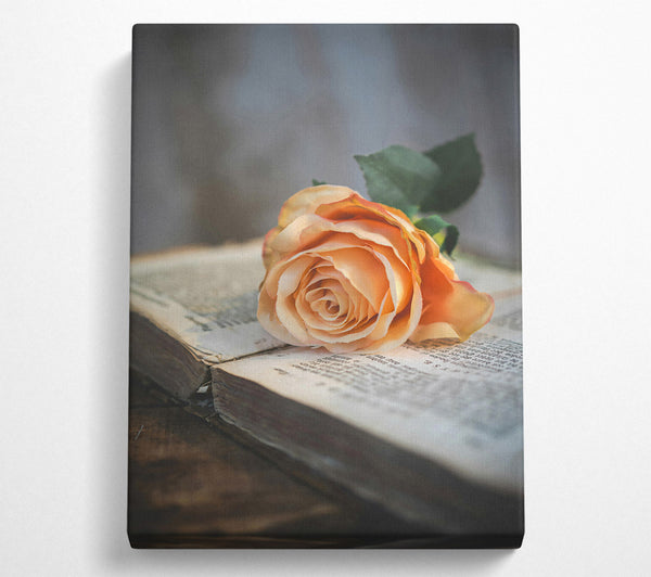  A Canvas Print of Peach Rose On Book Canvas Art
