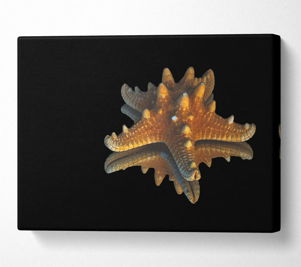  A Canvas Print of Golden Starfish Reflection Canvas Art
