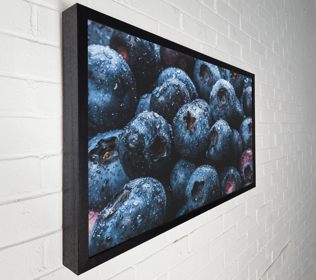  A Canvas Print of Indigo Blueberry Dewdrops Canvas Print