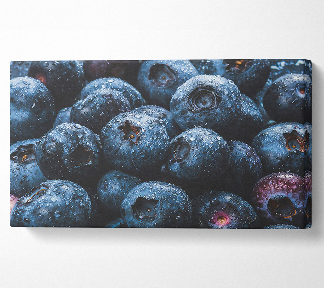  A Canvas Print of Indigo Blueberry Dewdrops Canvas Print