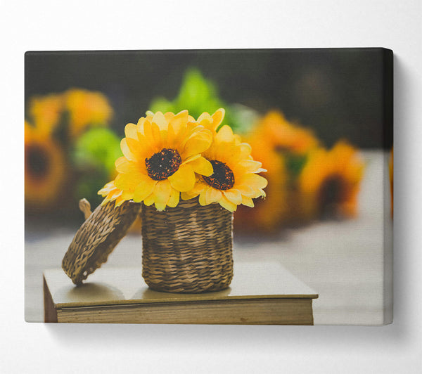 A Canvas Print of Golden Sunflowers In Basket Canvas Print