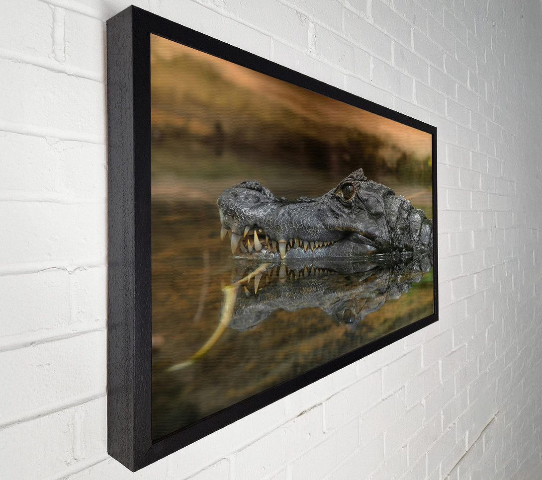  A Canvas Print of Black Gator Reflection Canvas Art