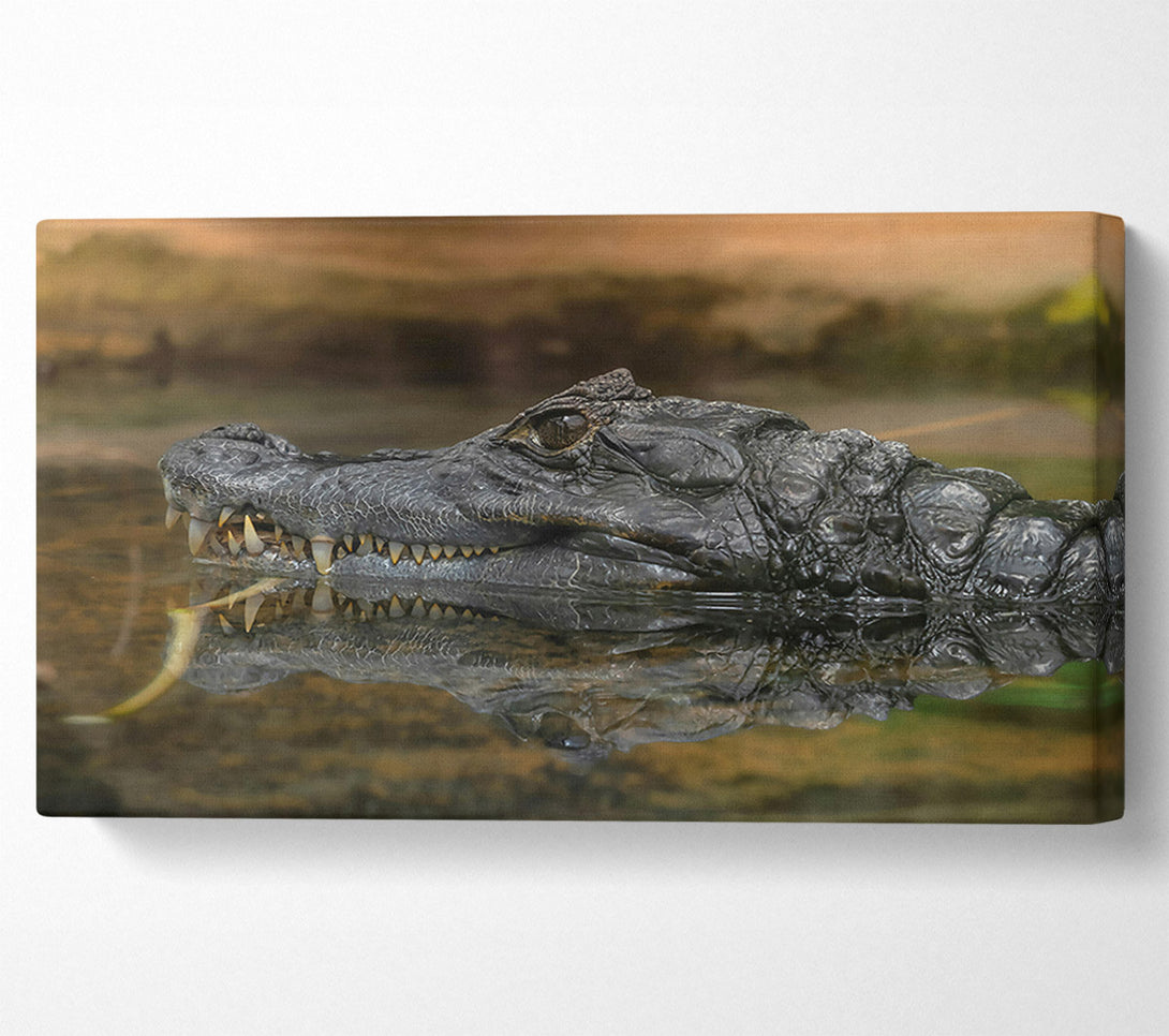  A Canvas Print of Black Gator Reflection Canvas Art