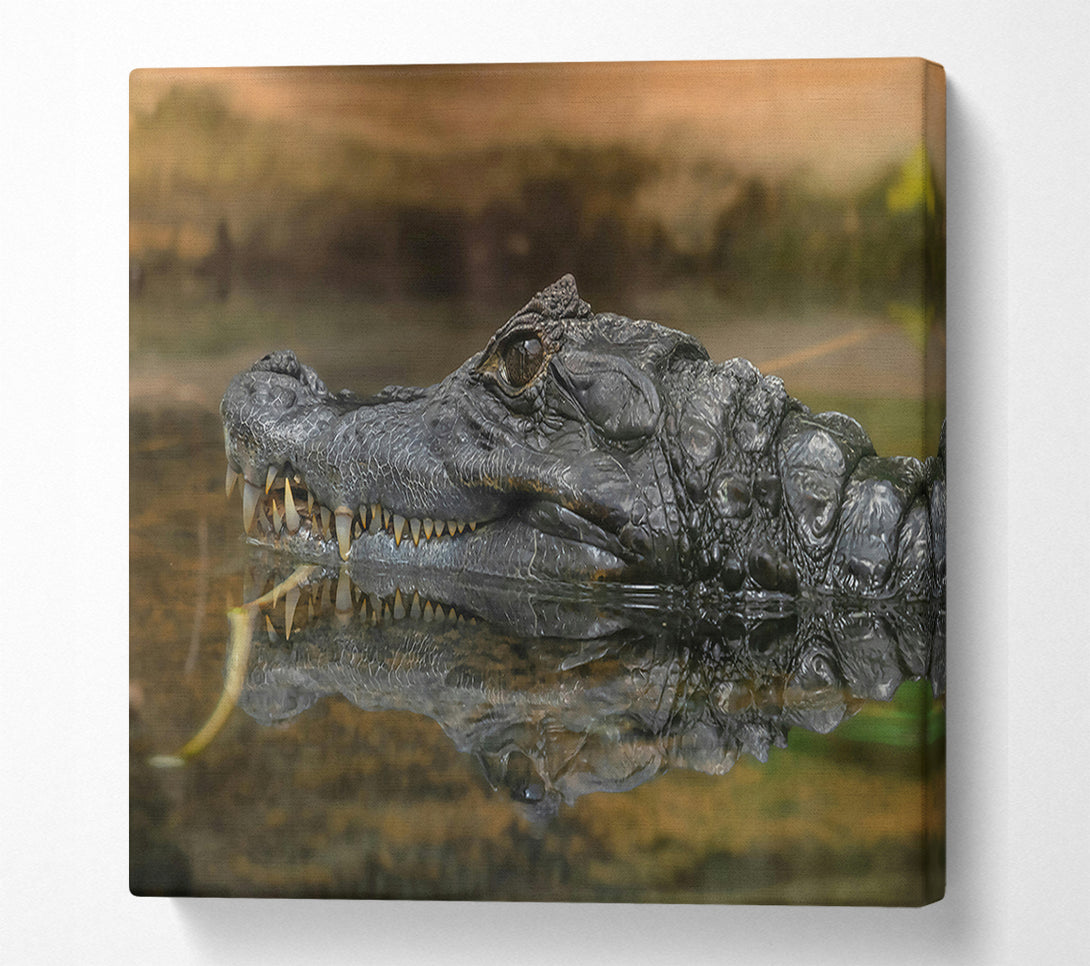  A Canvas Print of Black Gator Reflection Canvas Art