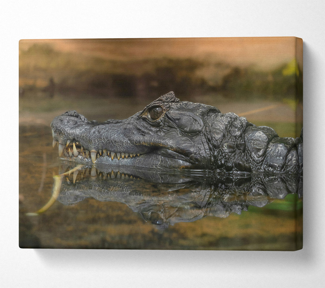  A Canvas Print of Black Gator Reflection Canvas Art