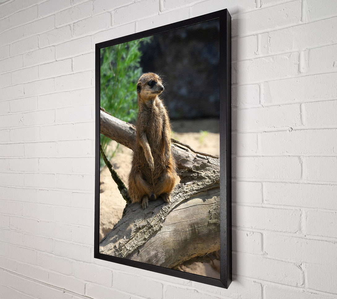  A Canvas Print of Golden Branch Sentinel Canvas Art