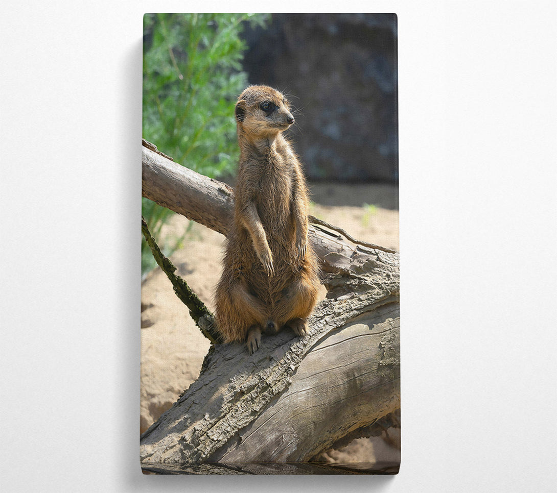  A Canvas Print of Golden Branch Sentinel Canvas Art