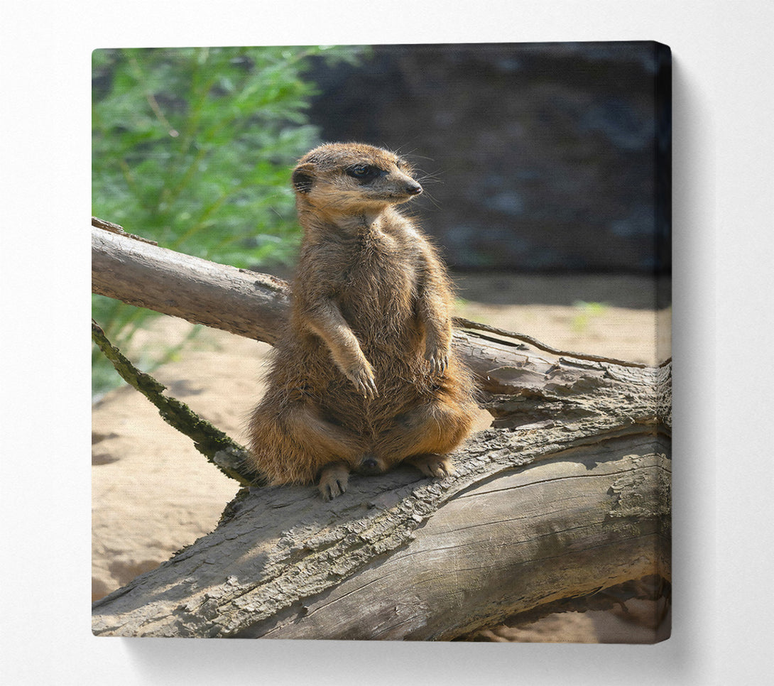  A Canvas Print of Golden Branch Sentinel Canvas Art