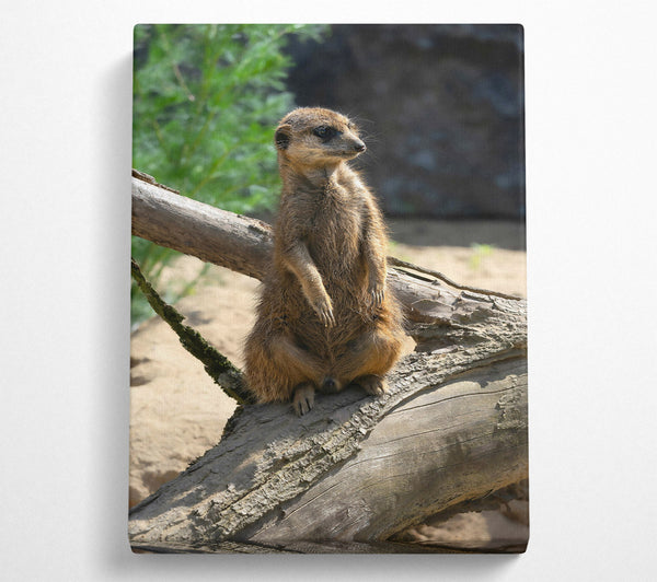  A Canvas Print of Golden Branch Sentinel Canvas Art