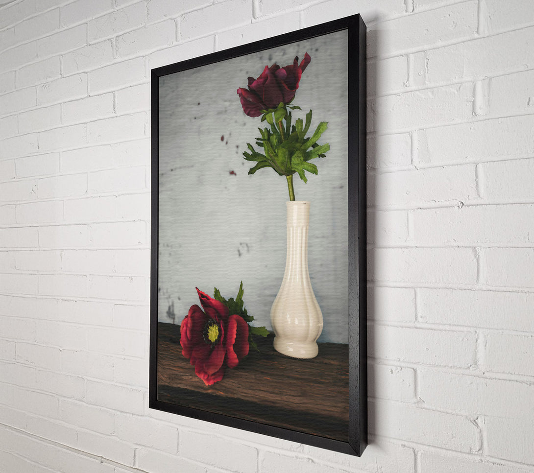  A Canvas Print of Crimson Blooms In White Canvas Print