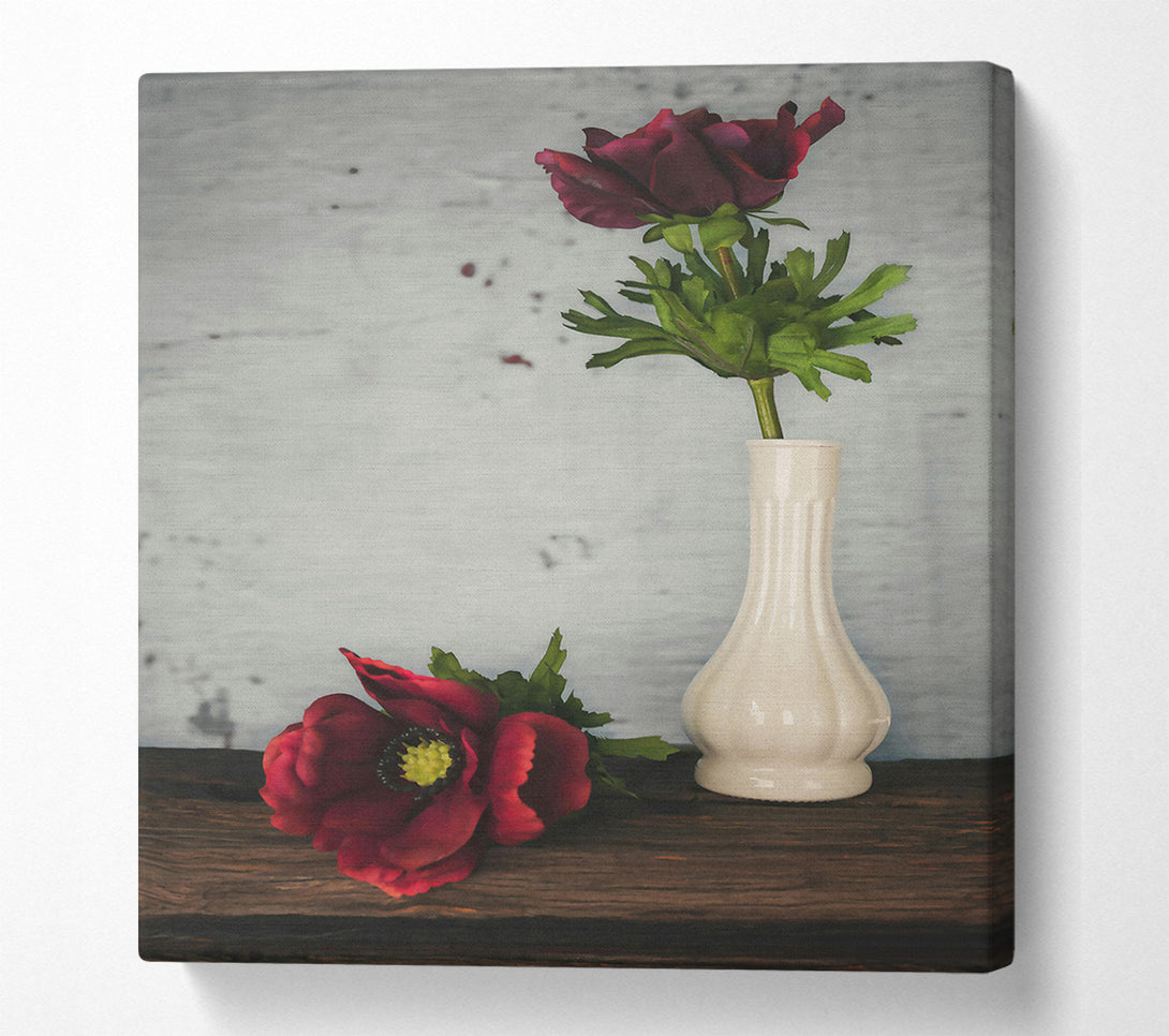  A Canvas Print of Crimson Blooms In White Canvas Print
