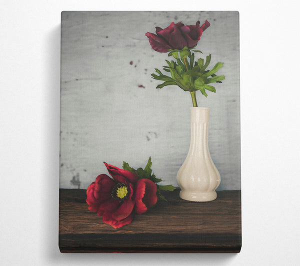  A Canvas Print of Crimson Blooms In White Canvas Print