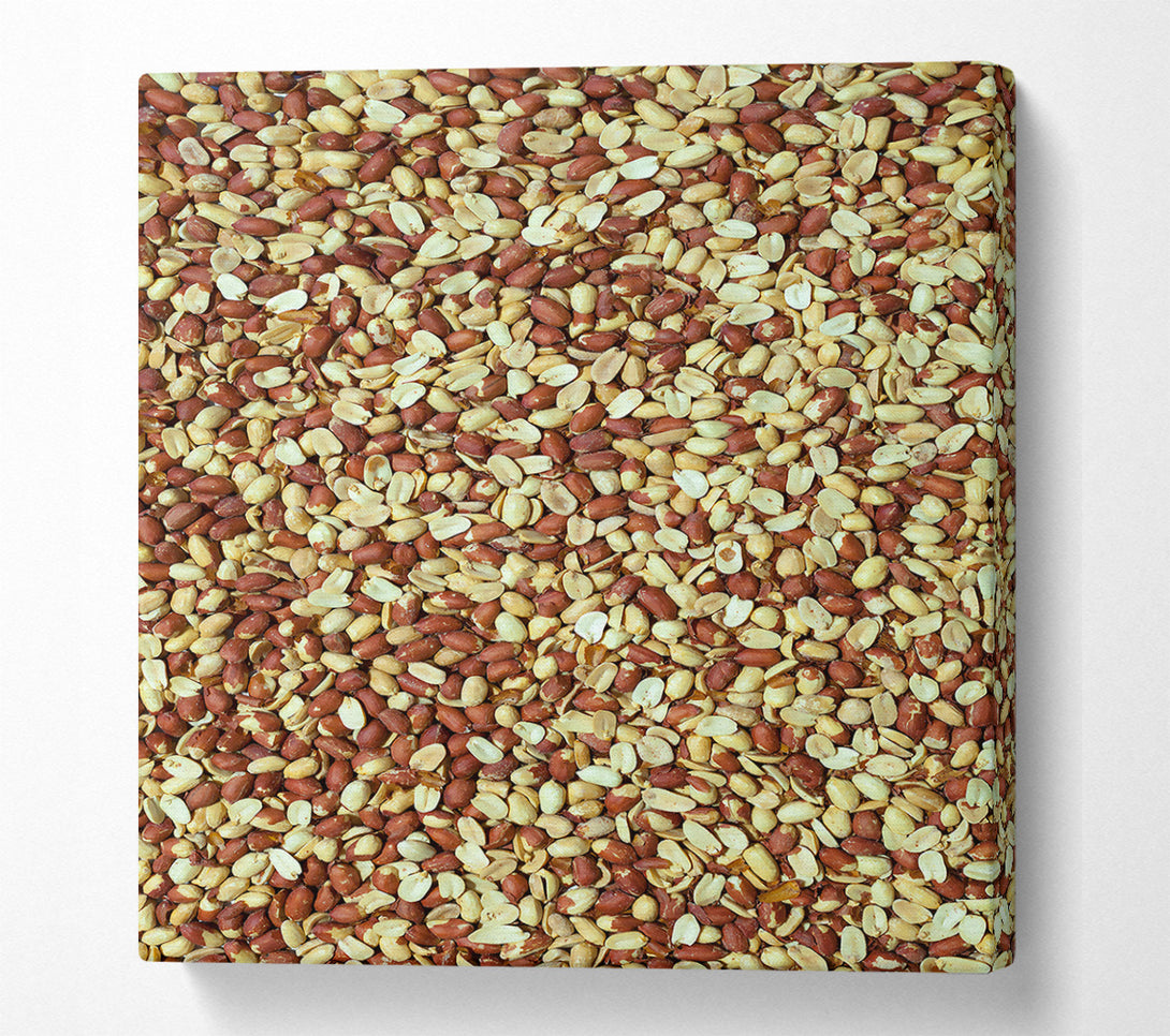  A Canvas Print of Red Peanut Dreams Canvas Art