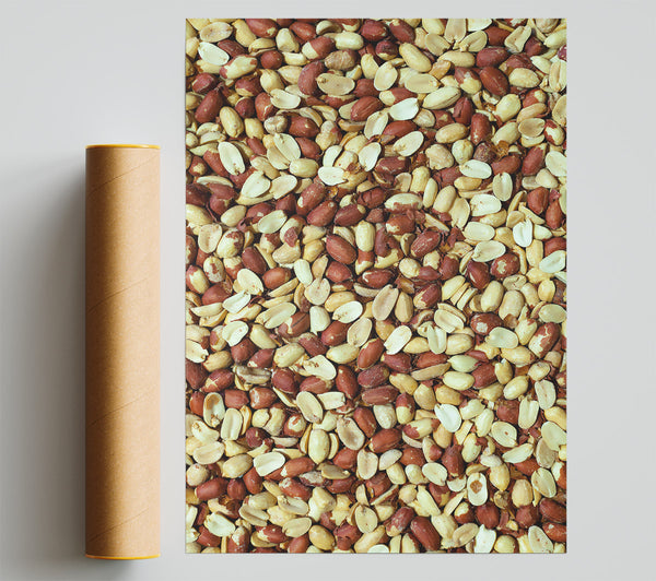 Red Peanut Symphony Poster