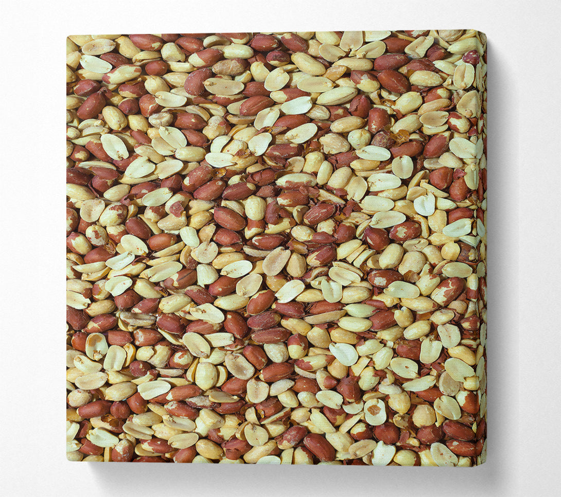  A Canvas Print of Red Peanut Symphony Canvas Print