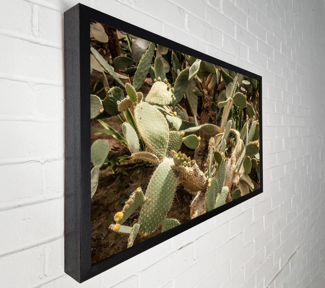  A Canvas Print of Green Cactus Blooms Canvas Art