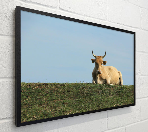 Golden Cow On Green Hill