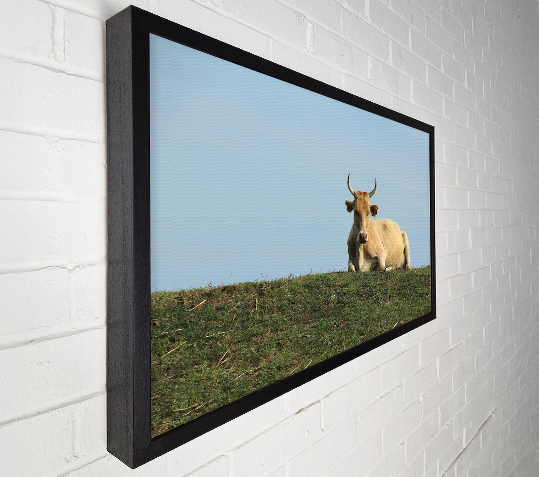  A Canvas Print of Golden Cow On Green Hill Canvas Wall Art