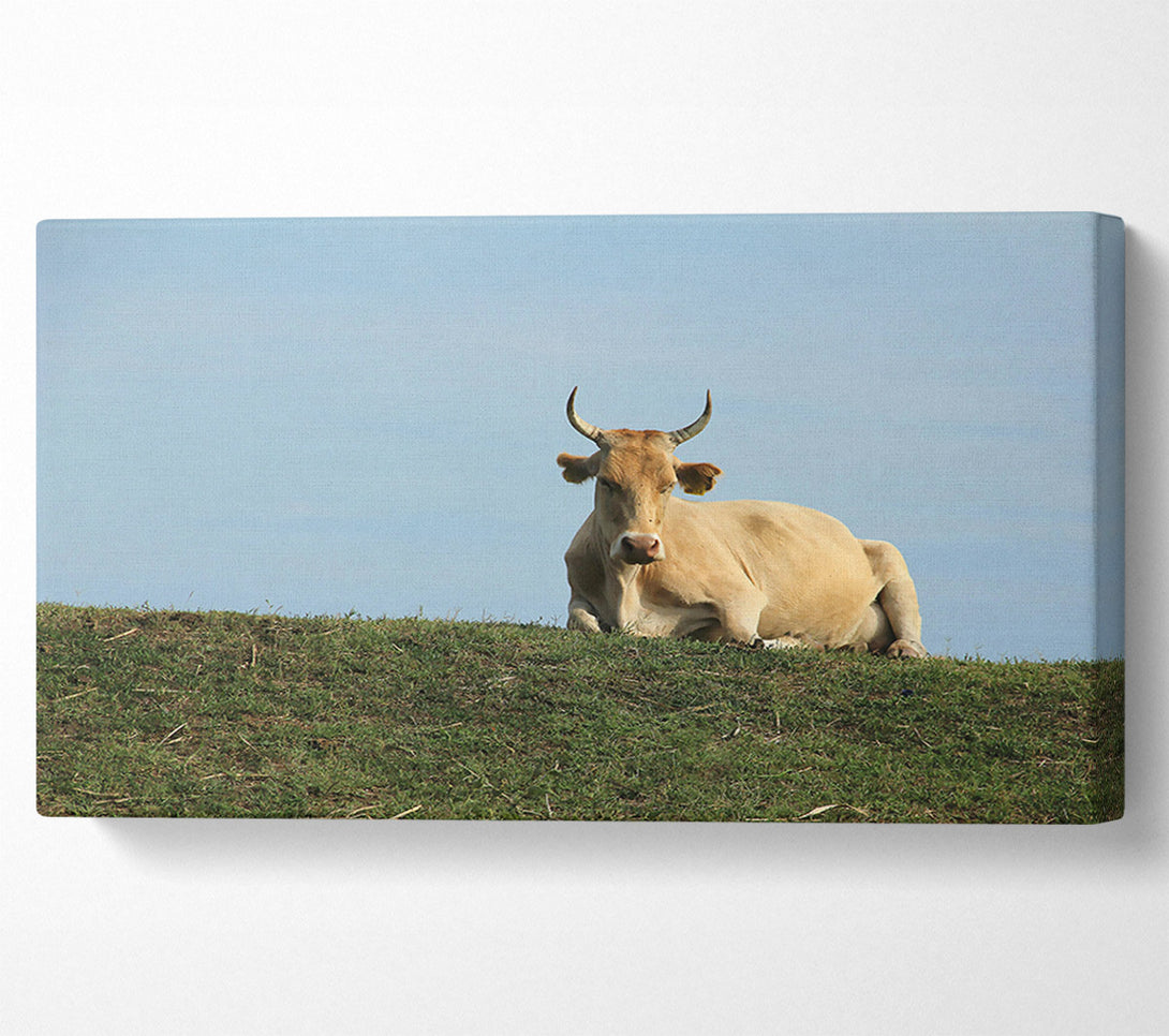  A Canvas Print of Golden Cow On Green Hill Canvas Wall Art