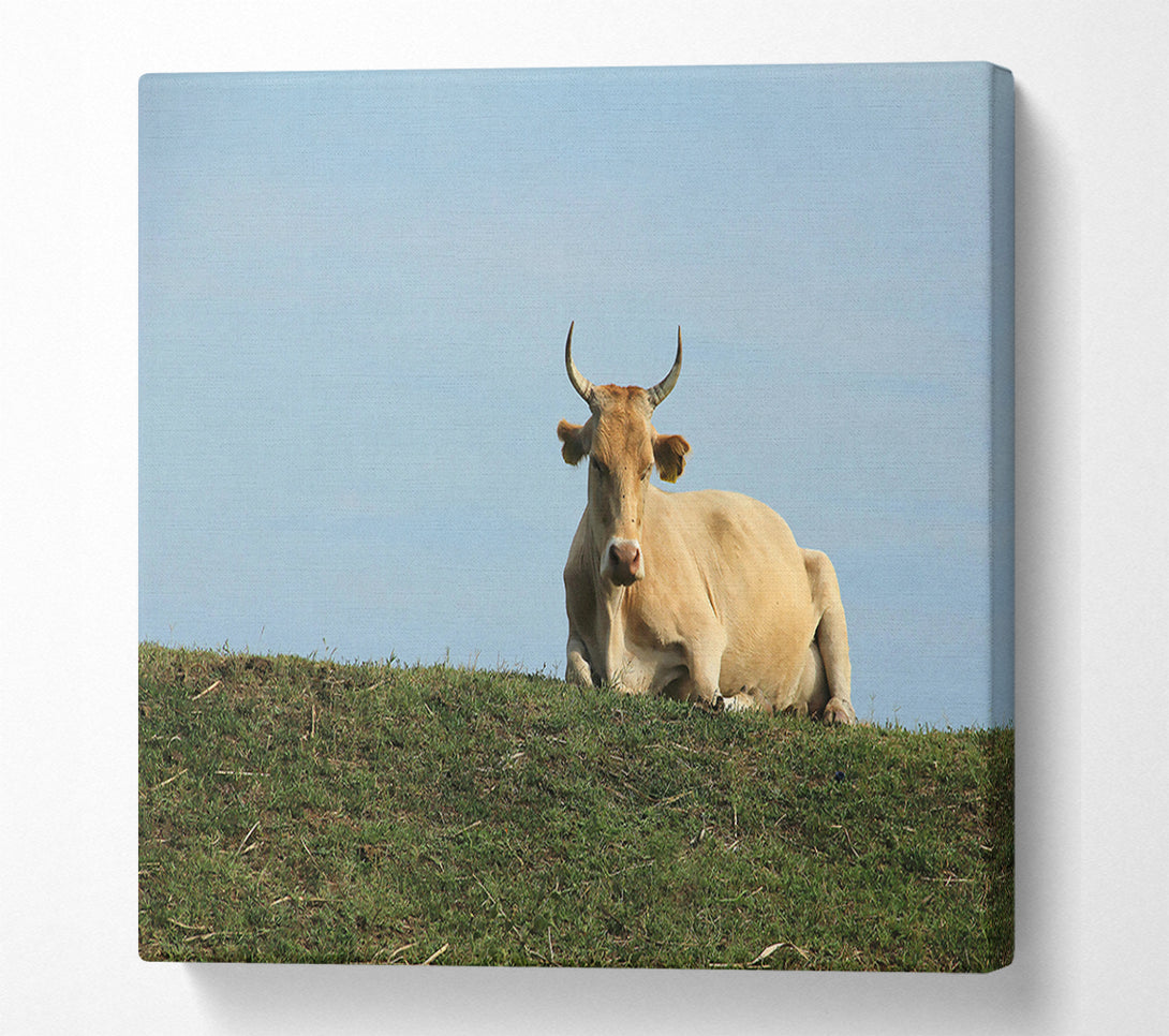  A Canvas Print of Golden Cow On Green Hill Canvas Wall Art