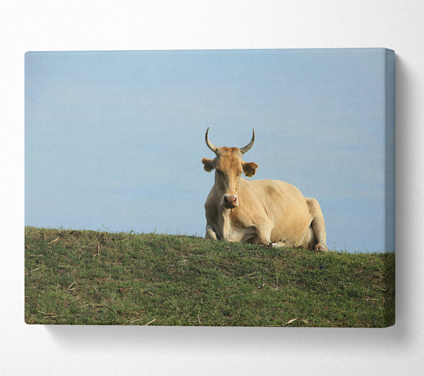  A Canvas Print of Golden Cow On Green Hill Canvas Wall Art