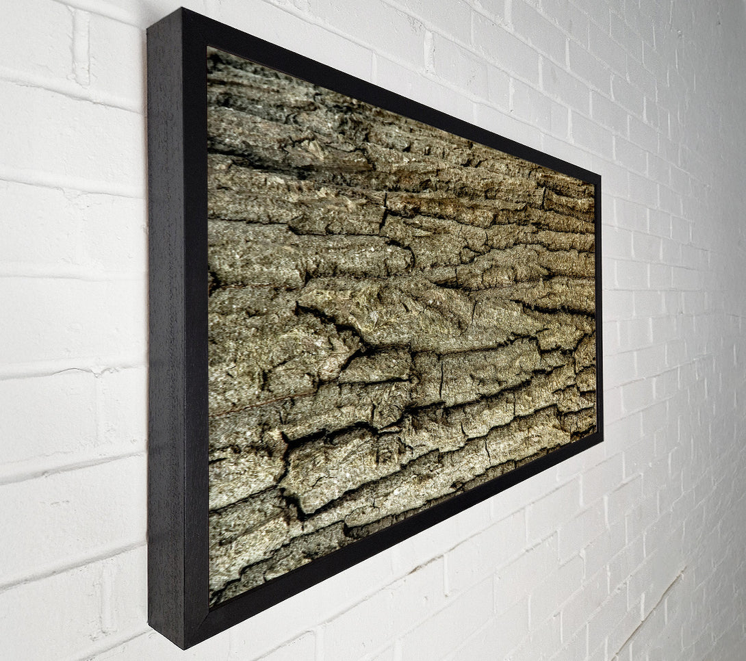  A Canvas Print of Gray Bark Texture Canvas Wall Art