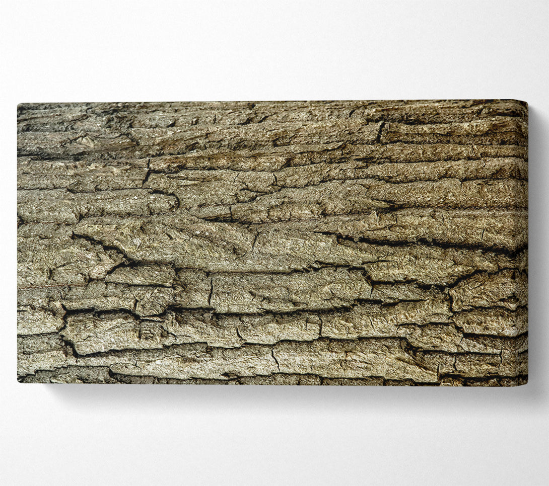  A Canvas Print of Gray Bark Texture Canvas Wall Art