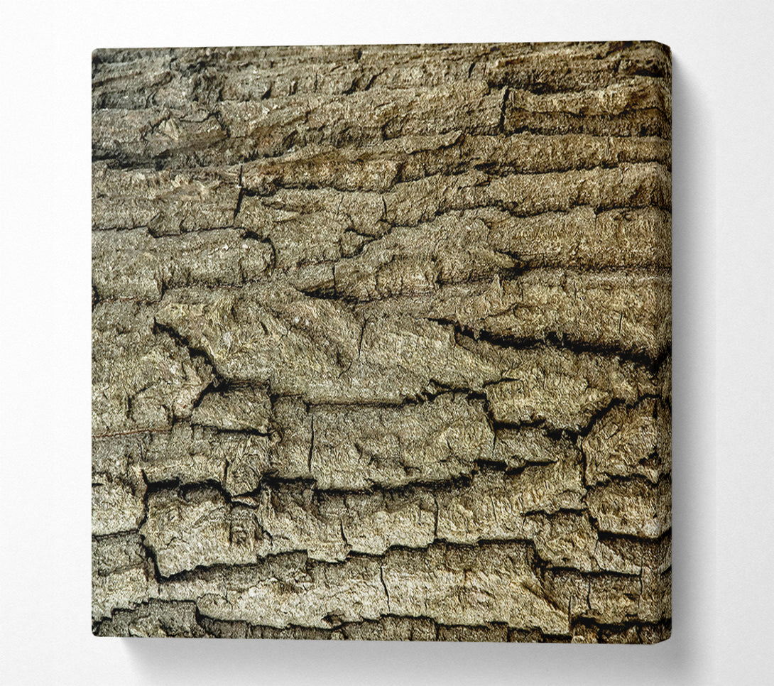 A Canvas Print of Gray Bark Texture Canvas Wall Art