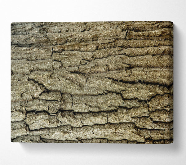  A Canvas Print of Gray Bark Texture Canvas Wall Art