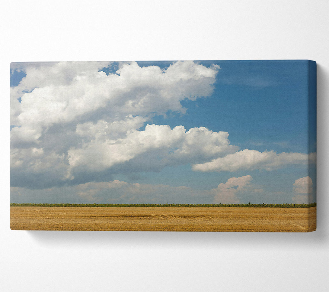  A Canvas Print of Golden Cloud Horizon Canvas Art