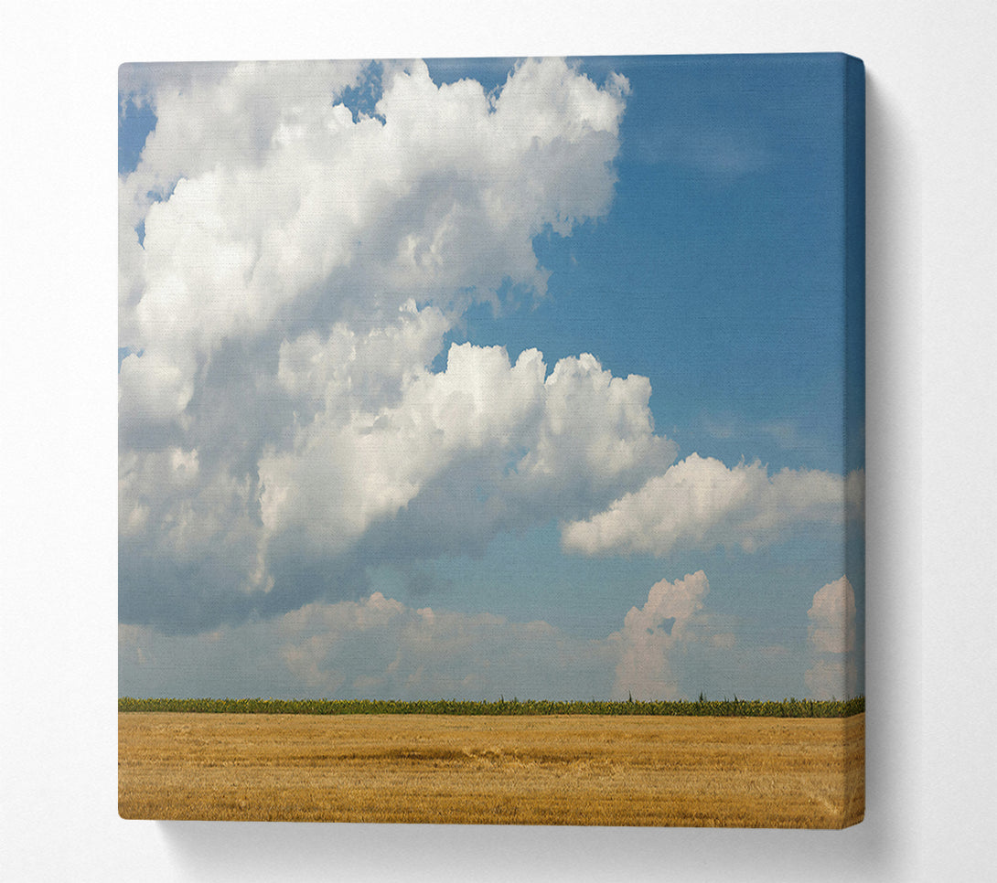 A Canvas Print of Golden Cloud Horizon Canvas Art