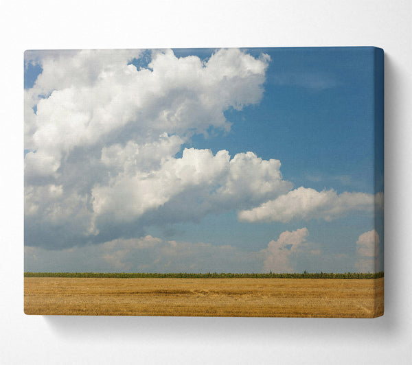  A Canvas Print of Golden Cloud Horizon Canvas Art