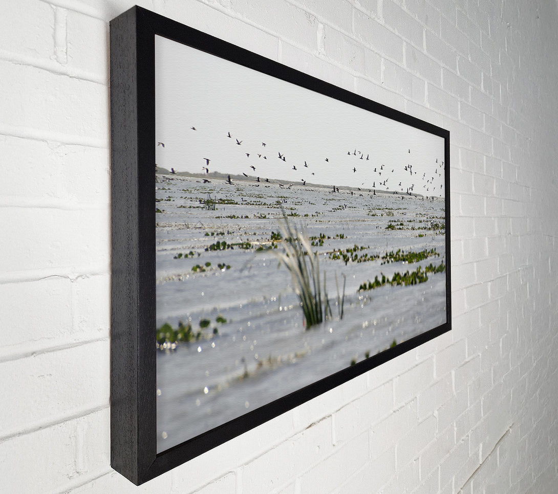  A Canvas Print of Grey Water Reflections Canvas Print