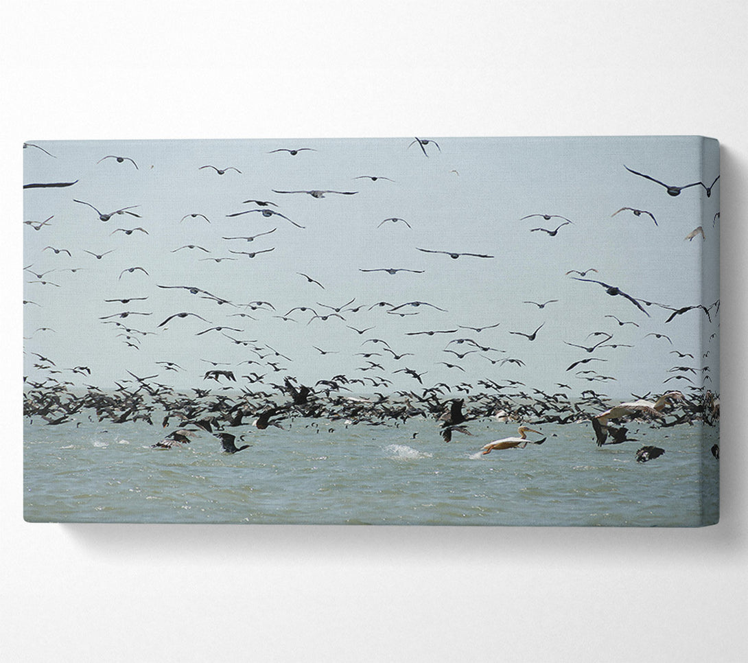  A Canvas Print of Blue Seabird Swarm Canvas Art