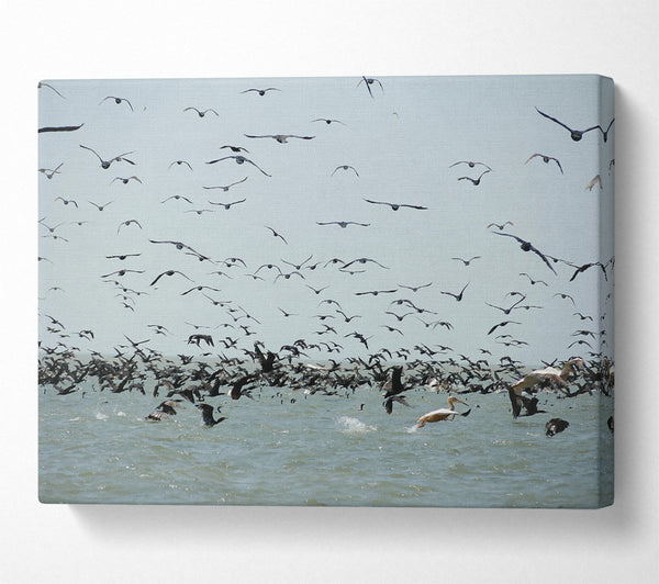  A Canvas Print of Blue Seabird Swarm Canvas Art