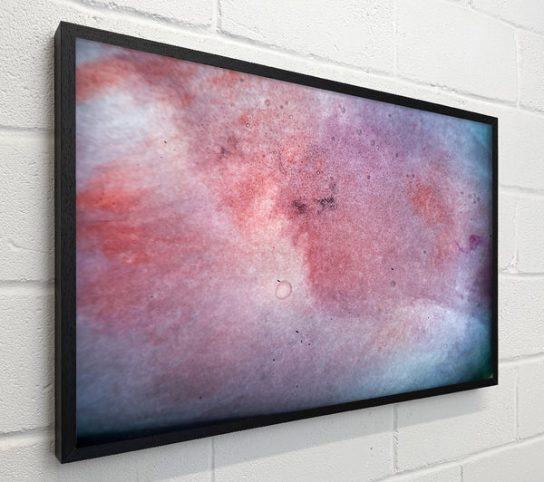 The Dusty Rose Dream