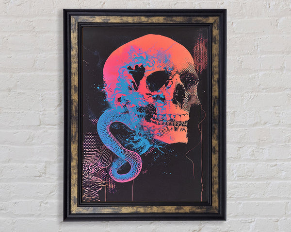 Snake Skull Framed Print