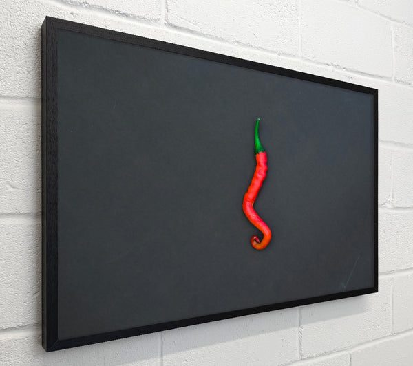 Red Chili On Grey