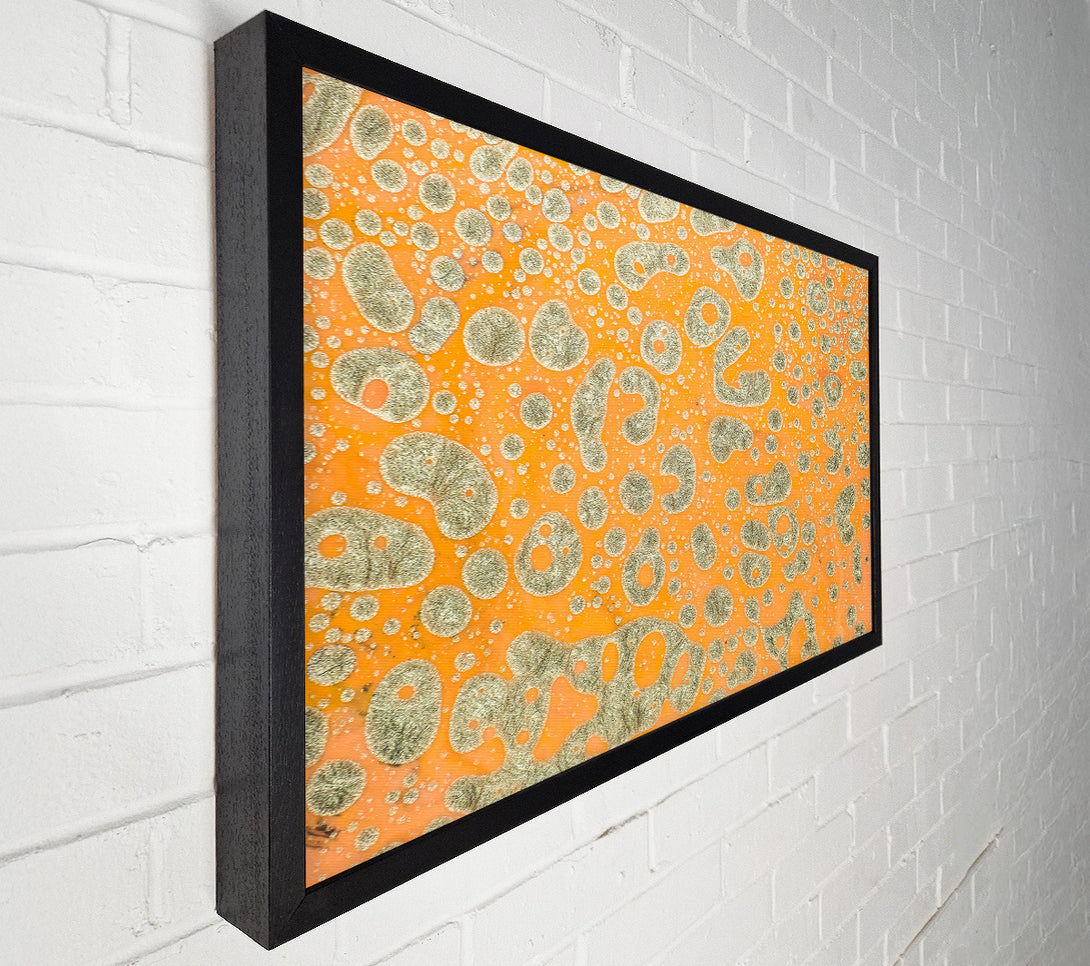  A Canvas Print of Orange & Silver Cells Canvas Print