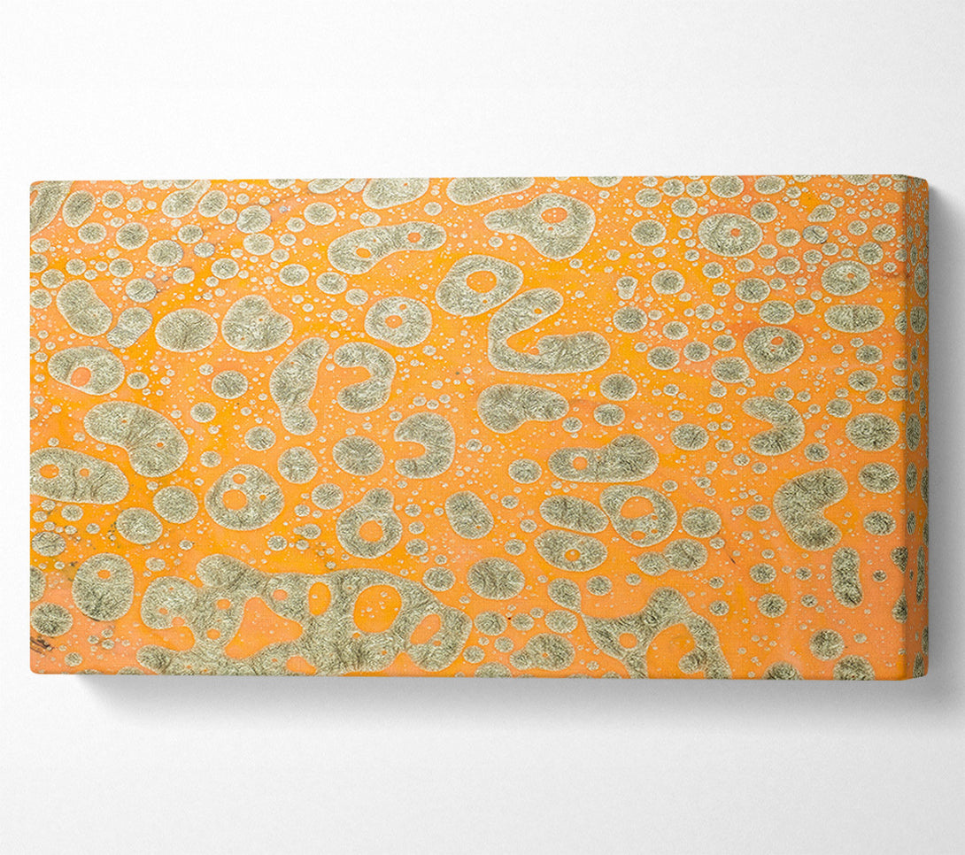  A Canvas Print of Orange & Silver Cells Canvas Print