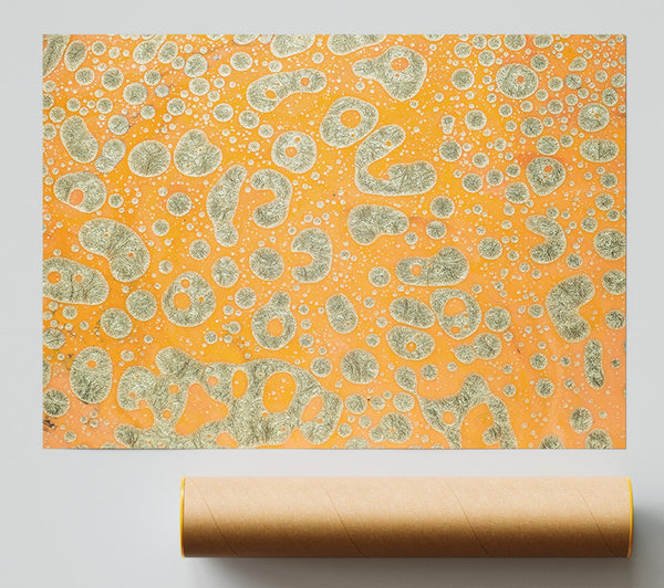 Orange & Silver Cells Poster
