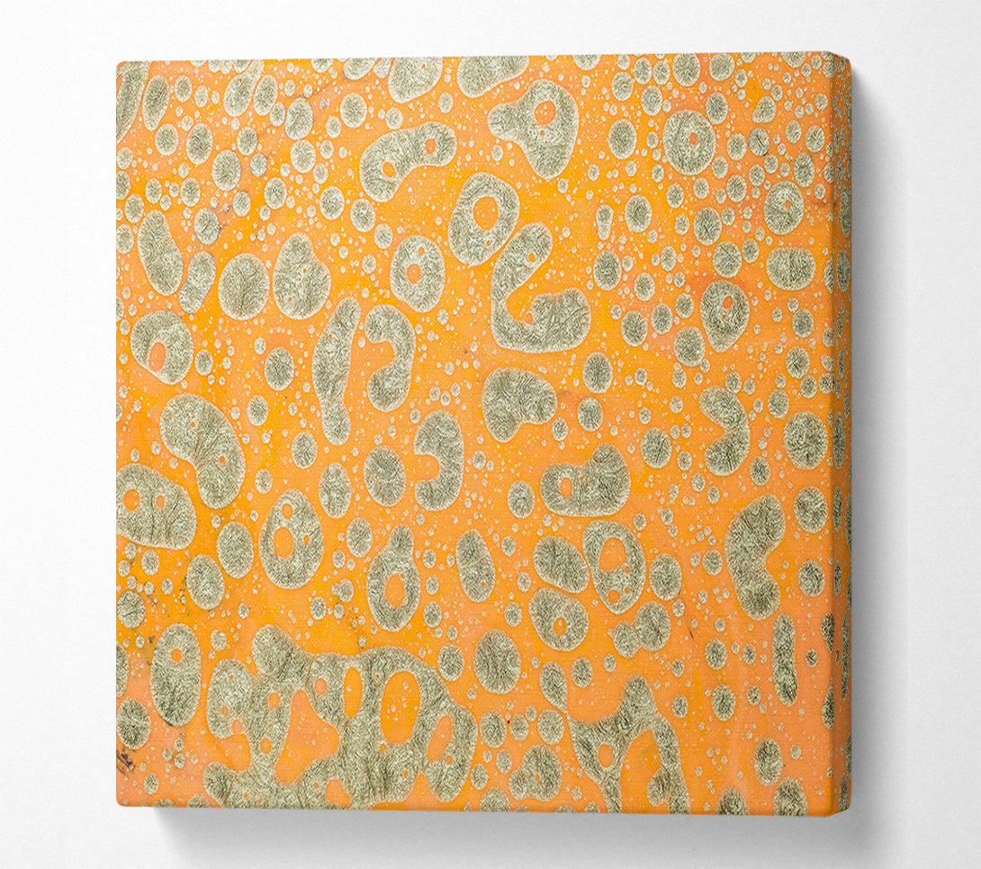  A Canvas Print of Orange & Silver Cells Canvas Print