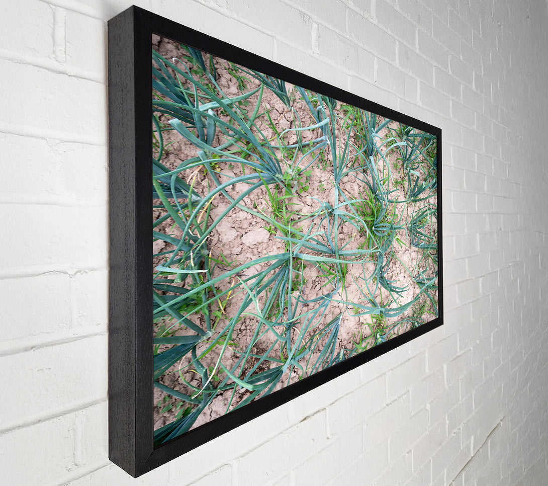  A Canvas Print of Green Cracked Earth Canvas Print
