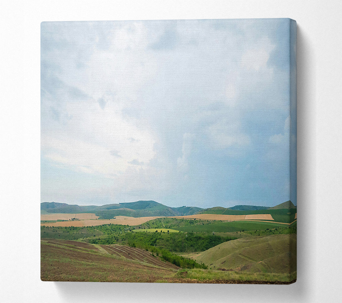  A Canvas Print of Blue Sky Fields Canvas Art