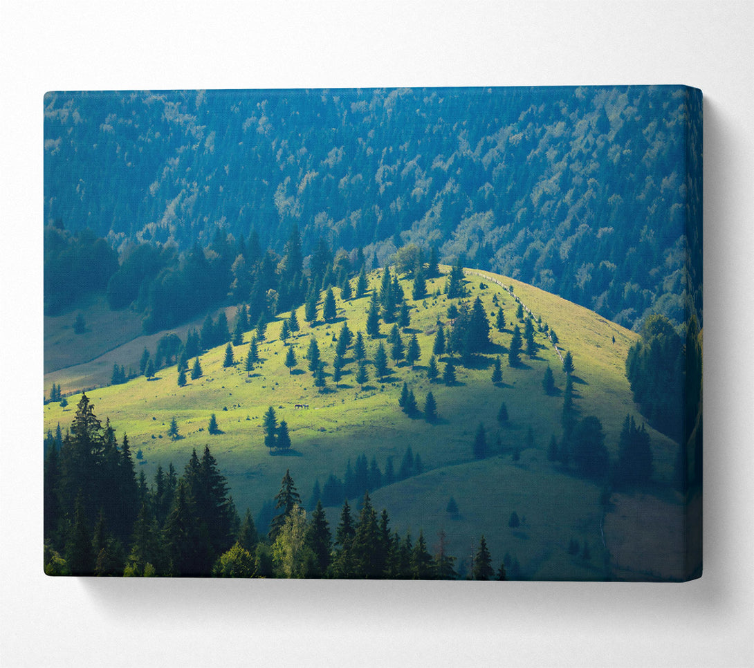  A Canvas Print of Blue Ridge Serenity Canvas Art