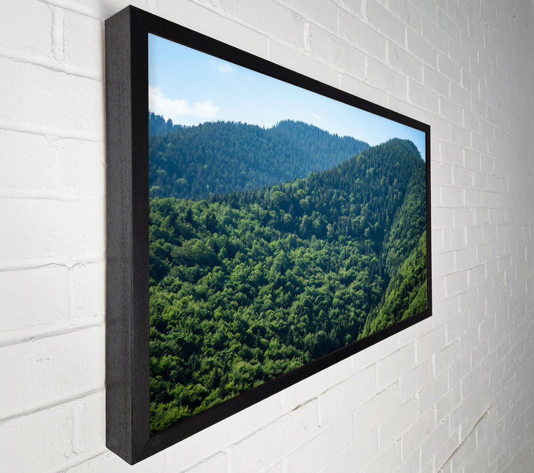  A Canvas Print of Emerald Forest Hills Canvas Print