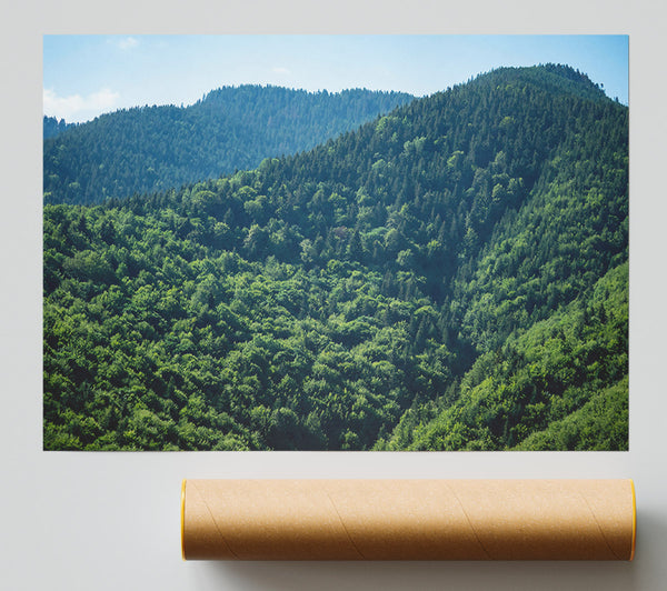 Emerald Forest Hills Poster