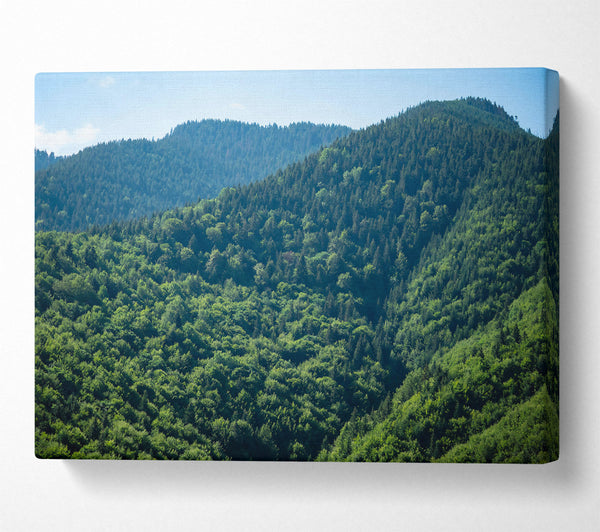  A Canvas Print of Emerald Forest Hills Canvas Print