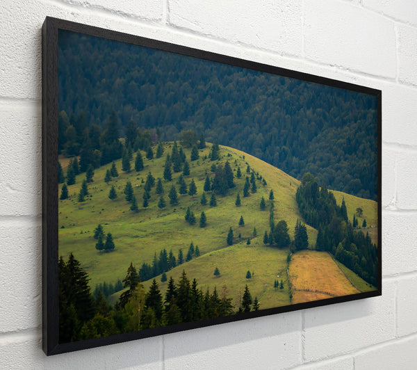 Green Hills And Trees